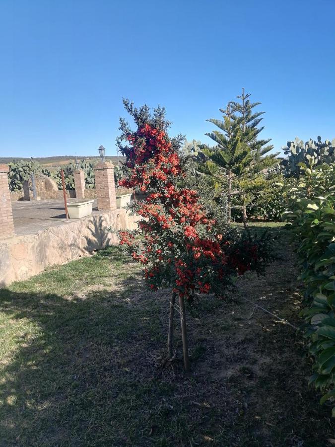 Villetta immersa nel verde Piazza Armerina Esterno foto