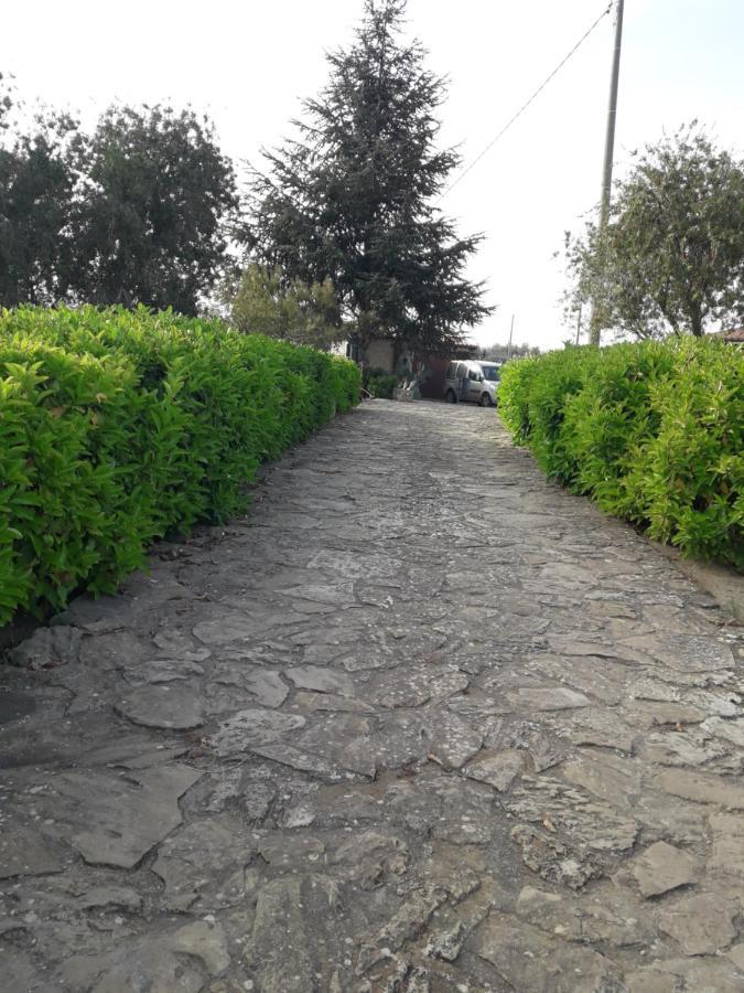 Villetta immersa nel verde Piazza Armerina Esterno foto